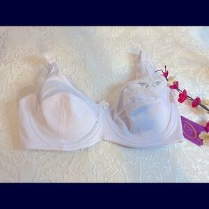 💥Isabella Embroidery Floral Print Sexy Bras 36C